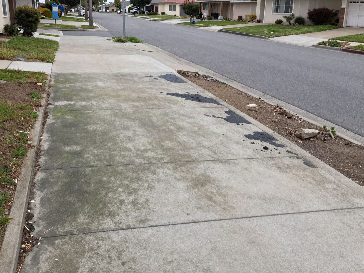 A concrete driveway stained with grey-green algae and dark oil spotting, looking down toward the street.