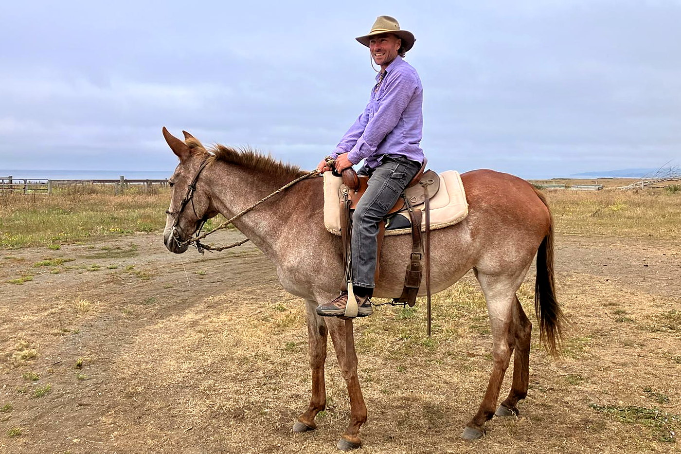 Mark Grumich on his mule on open grassland above the Sonoma coast.